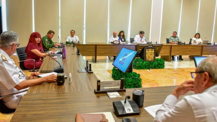 Mesa de Paz y Seguridad