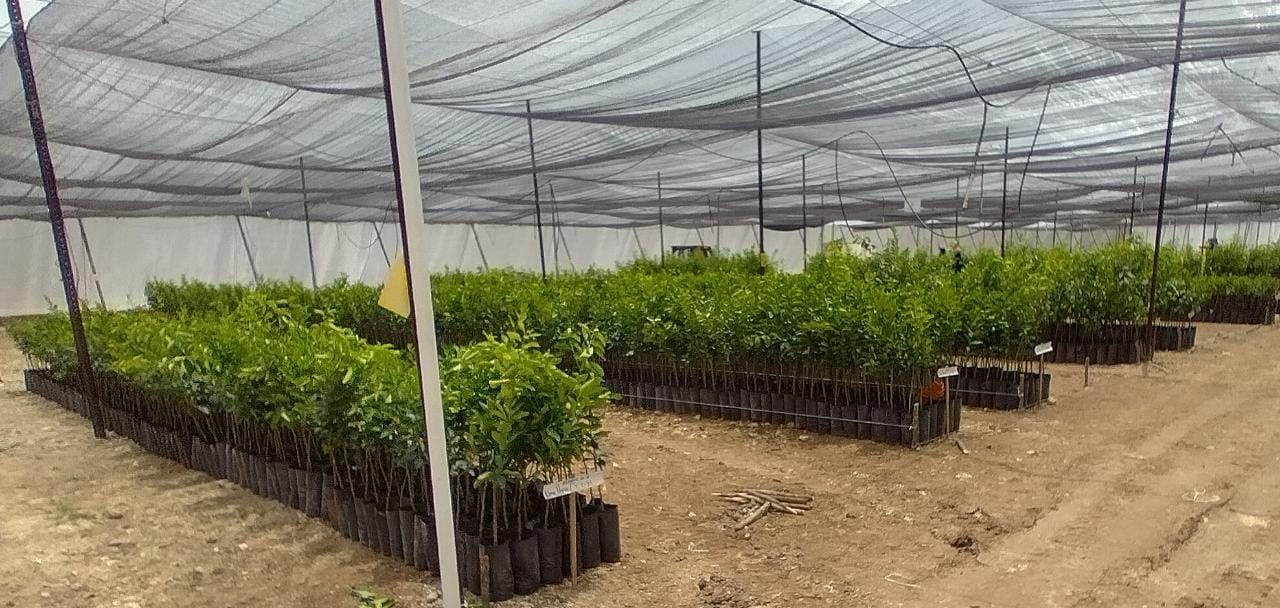 Impulsando la calidad de nuestros cultivos