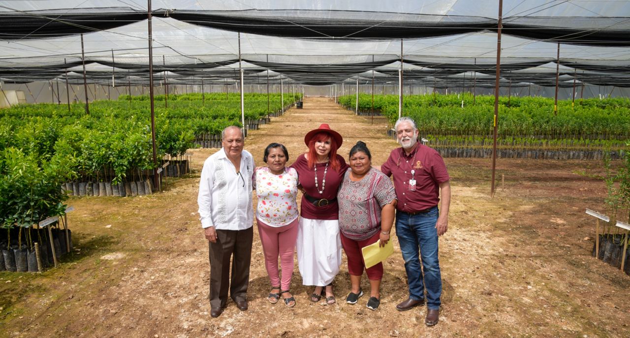 Campeche cuenta con el primer vivero de cítricos del país