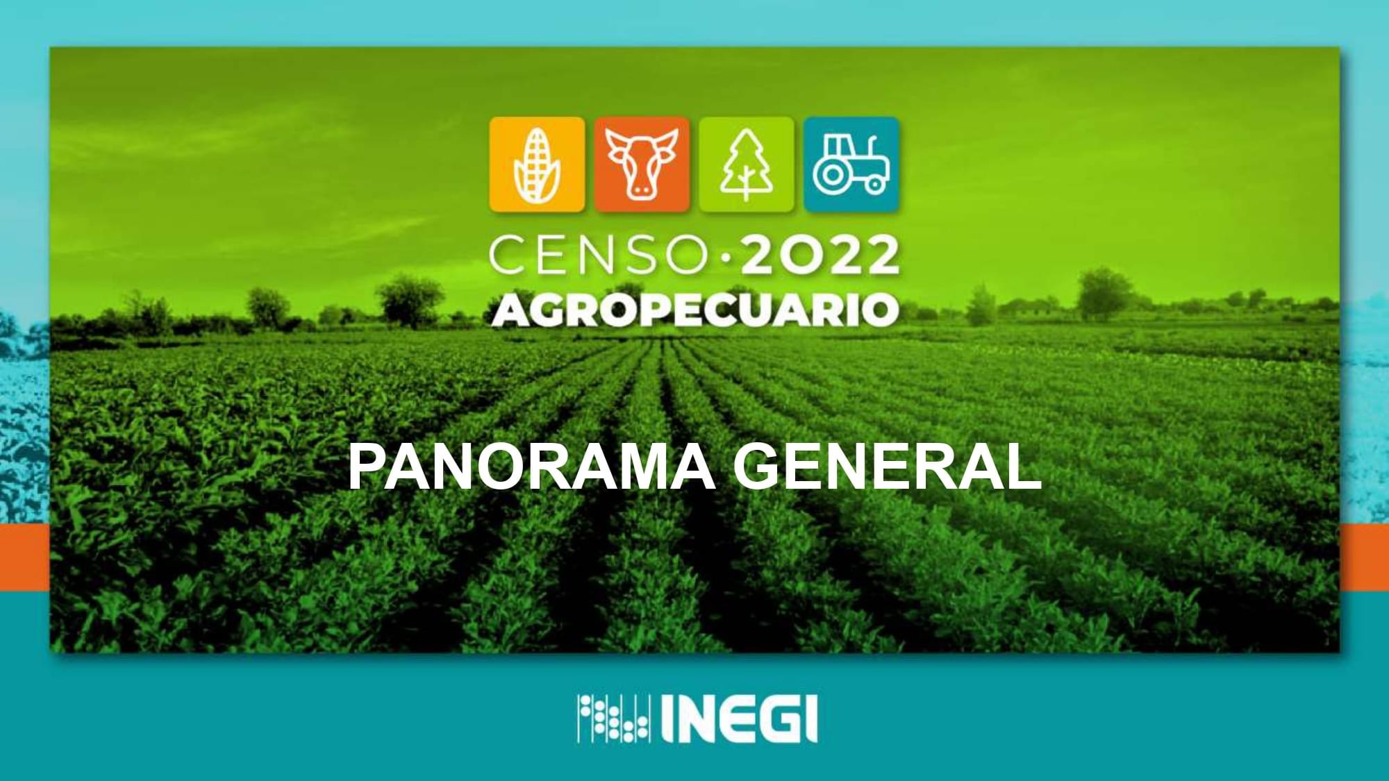 9º Censo Agropecuario
