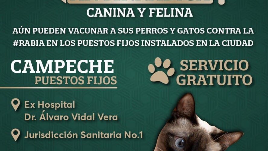 Vacunación antirrábica canina y felina
