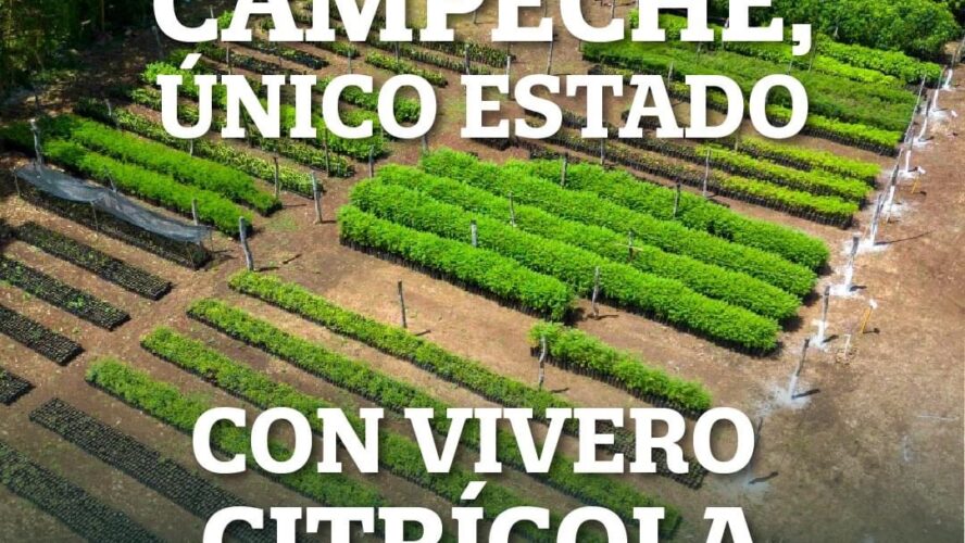 Campeche cuenta con el único Vivero Citrícola Certificado