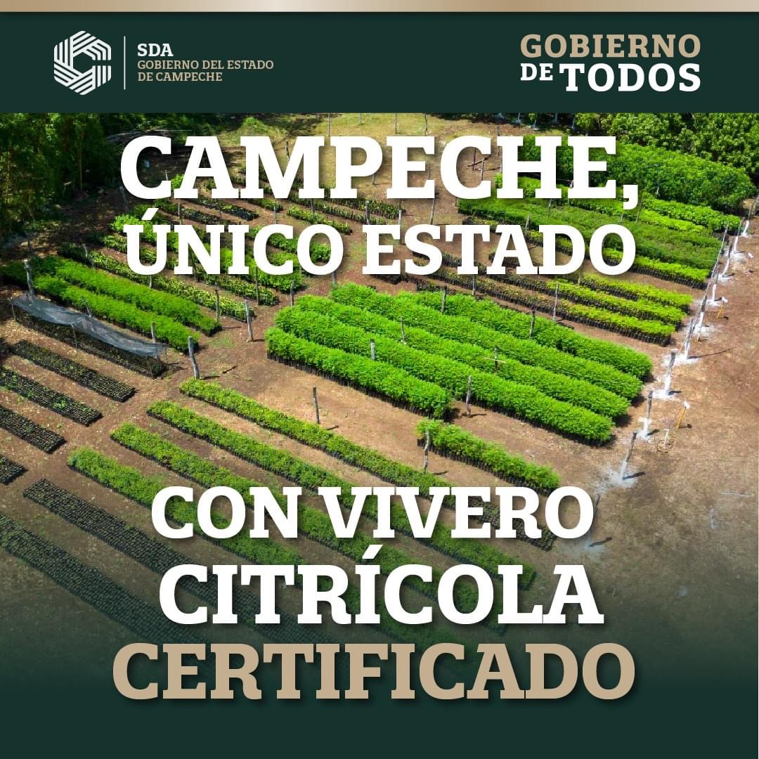 Campeche cuenta con el único Vivero Citrícola Certificado