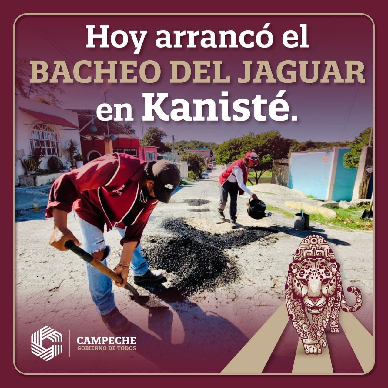 Bacheo del Jaguar en Kanisté