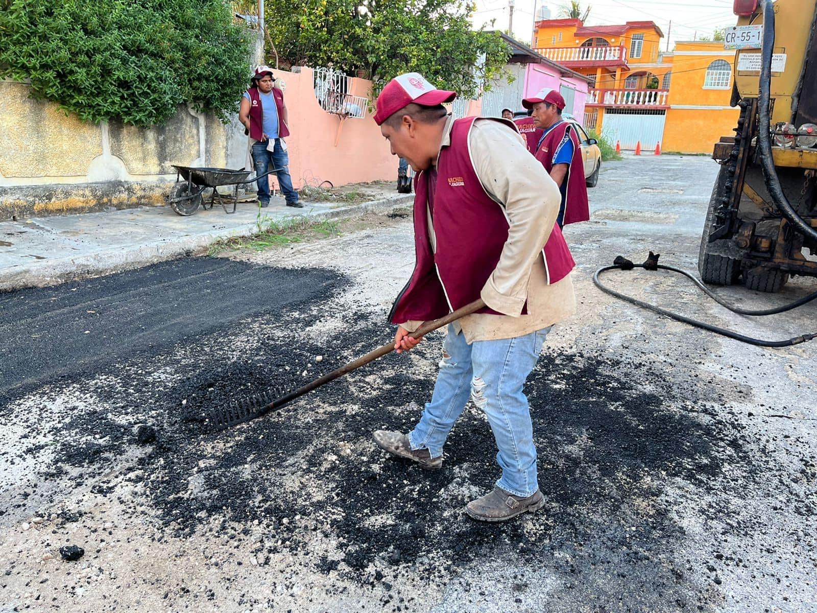 Bacheo del Jaguar en Ciudad Concordia