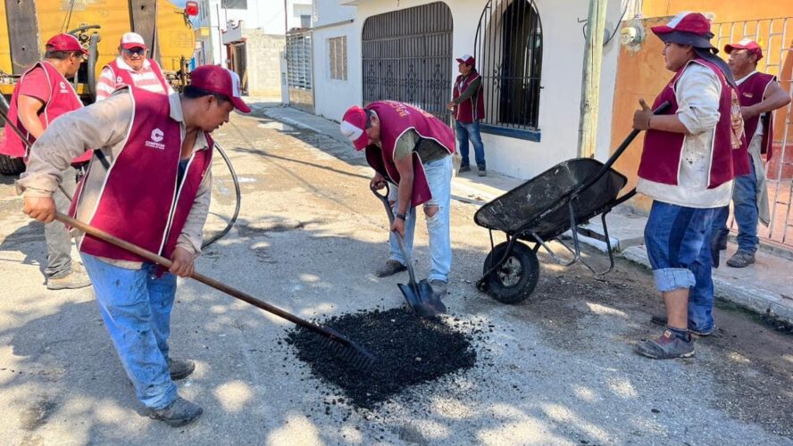 Bacheo del Jaguar en Solidaridad Nacional