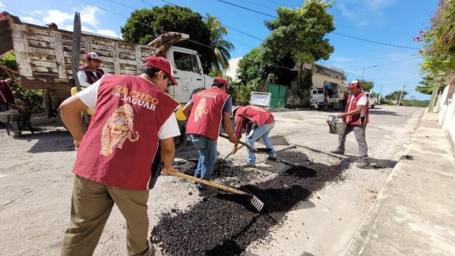 Bacheo del Jaguar en Kanisté