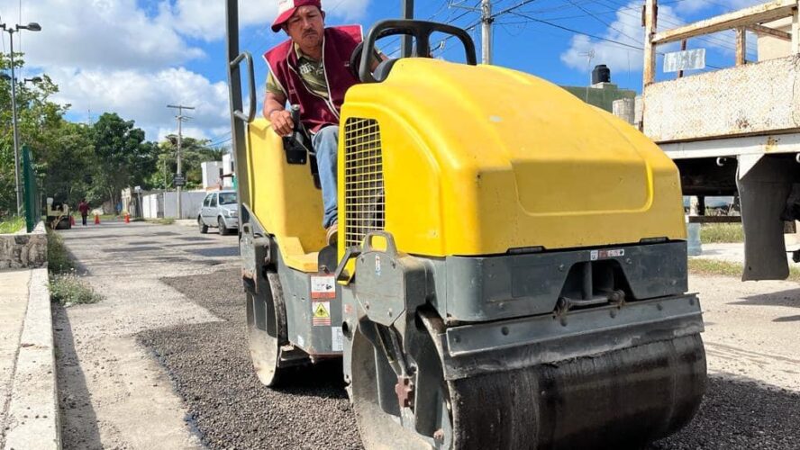 Bacheo del Jaguar en Solidaridad Nacional