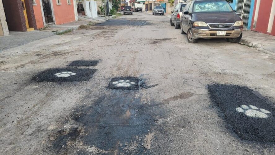 Las huellas del jaguar están en Av. Pablo García Norte