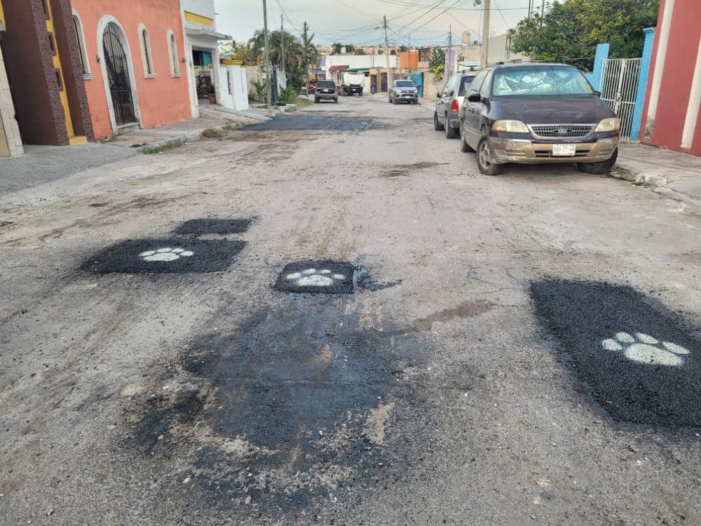 Las huellas del jaguar están en Av. Pablo García Norte