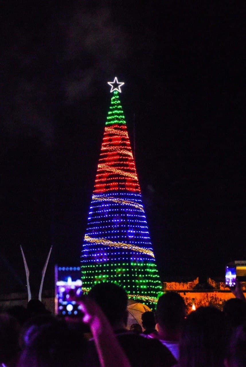 Encendido del Árbol Navideño