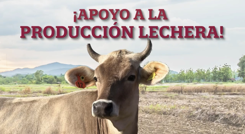 Programa Fortalecimiento a la Producción Lechera