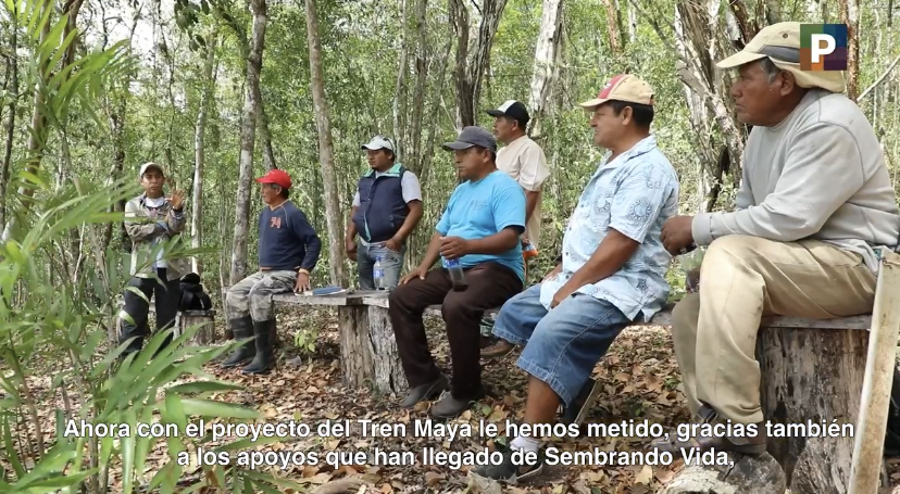 Mayor conciencia ecológica derivado de la obra del Tren Maya
