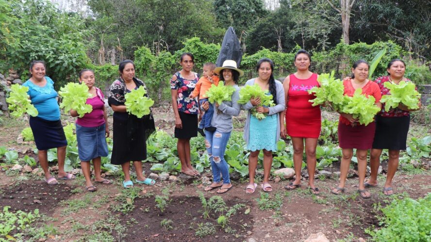 Programa Apoyo a la Producción Familiar