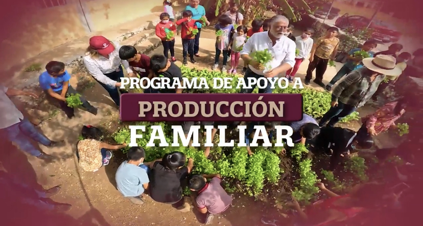 Programa de Apoyo a la Producción Familiar