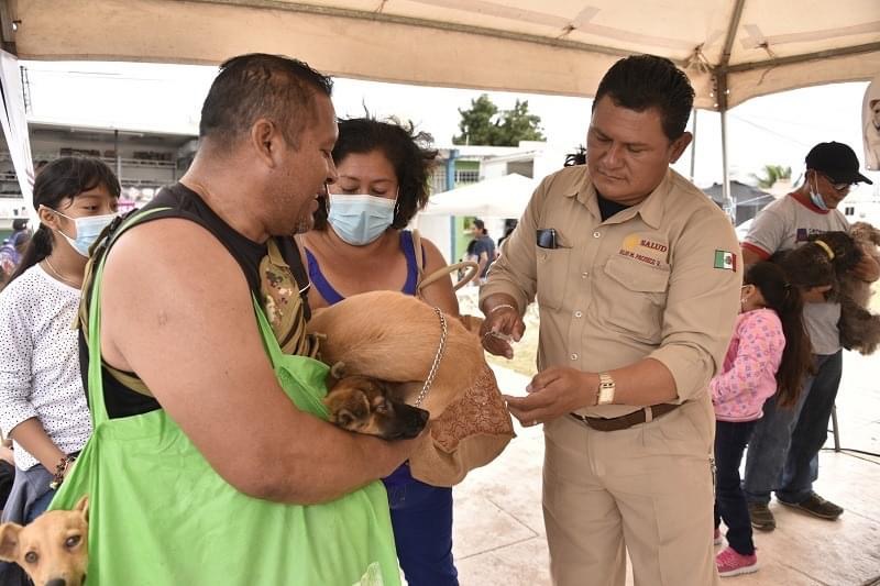 ¡Nuestras mascotas están protegidas!