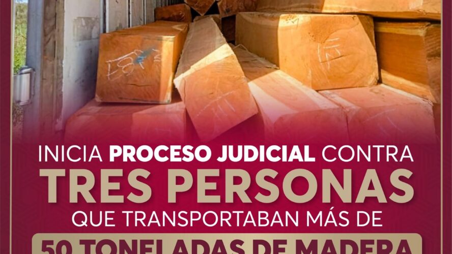 Proceso Judicial contra personas que transportaban toneladas de madera