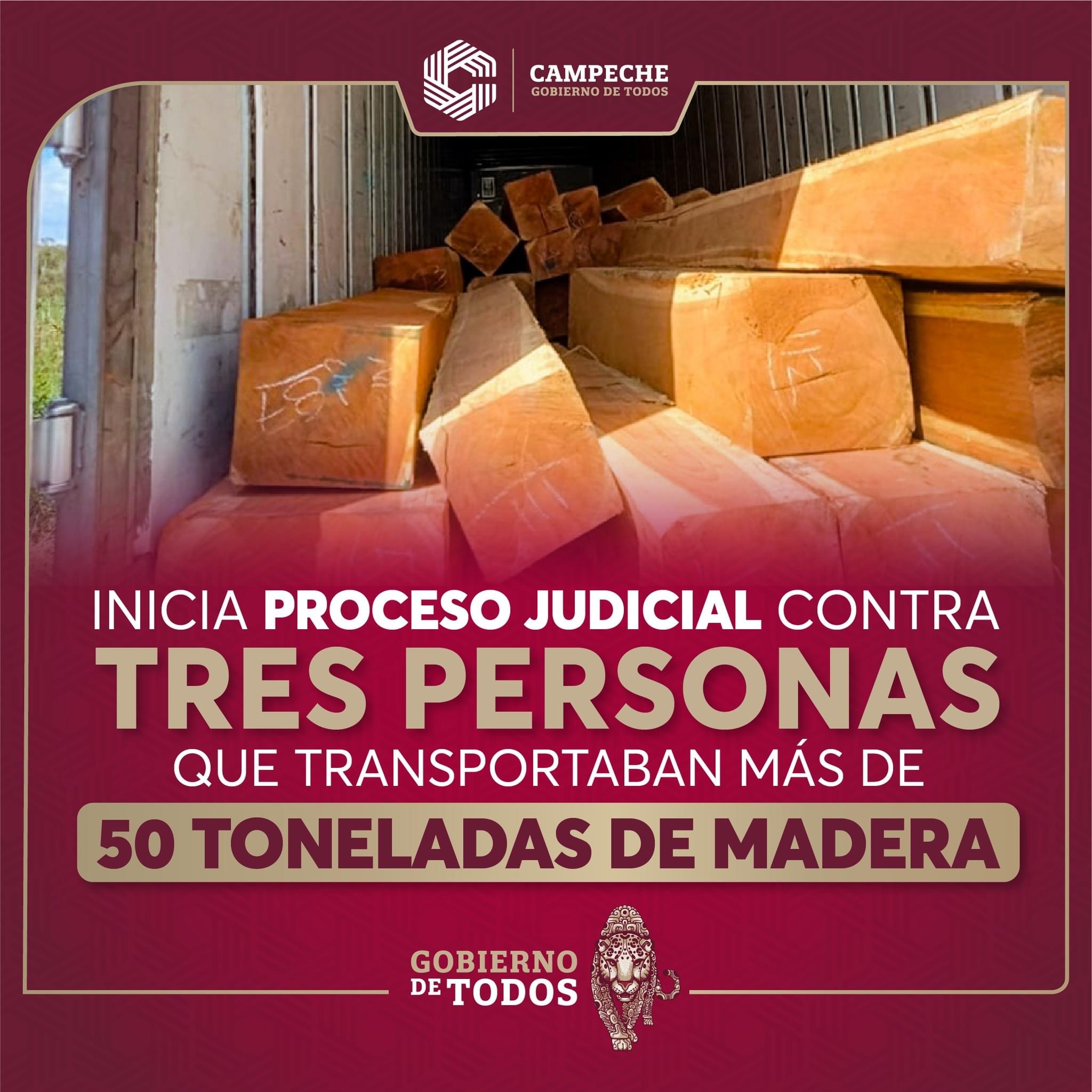 Proceso Judicial contra personas que transportaban toneladas de madera