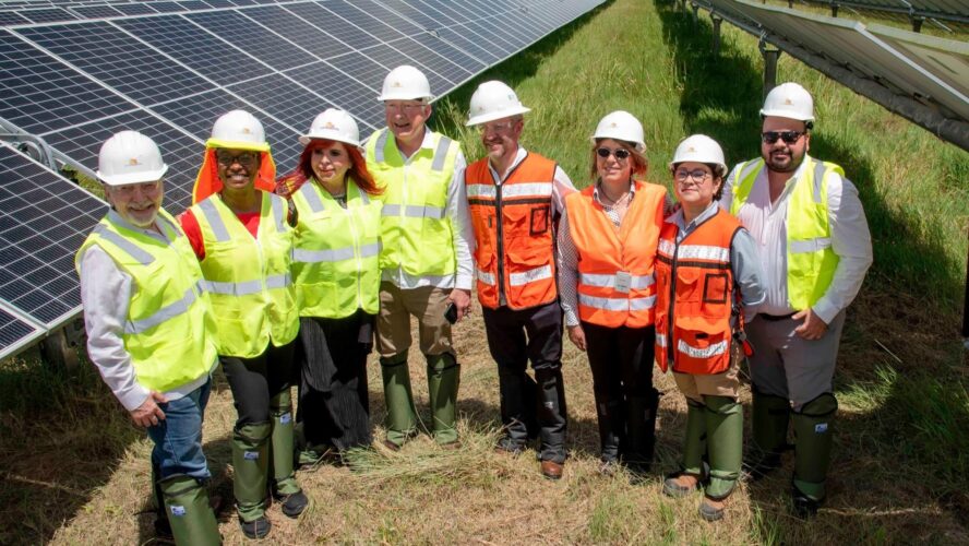 Recorrido por el parque fotovoltaico La Pimienta
