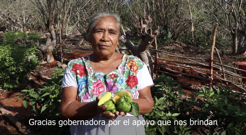 Apoyando a las mujeres