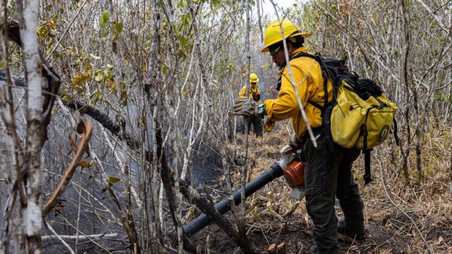 ¡Se extinguió el incendio forestal 5 de Febrero!
