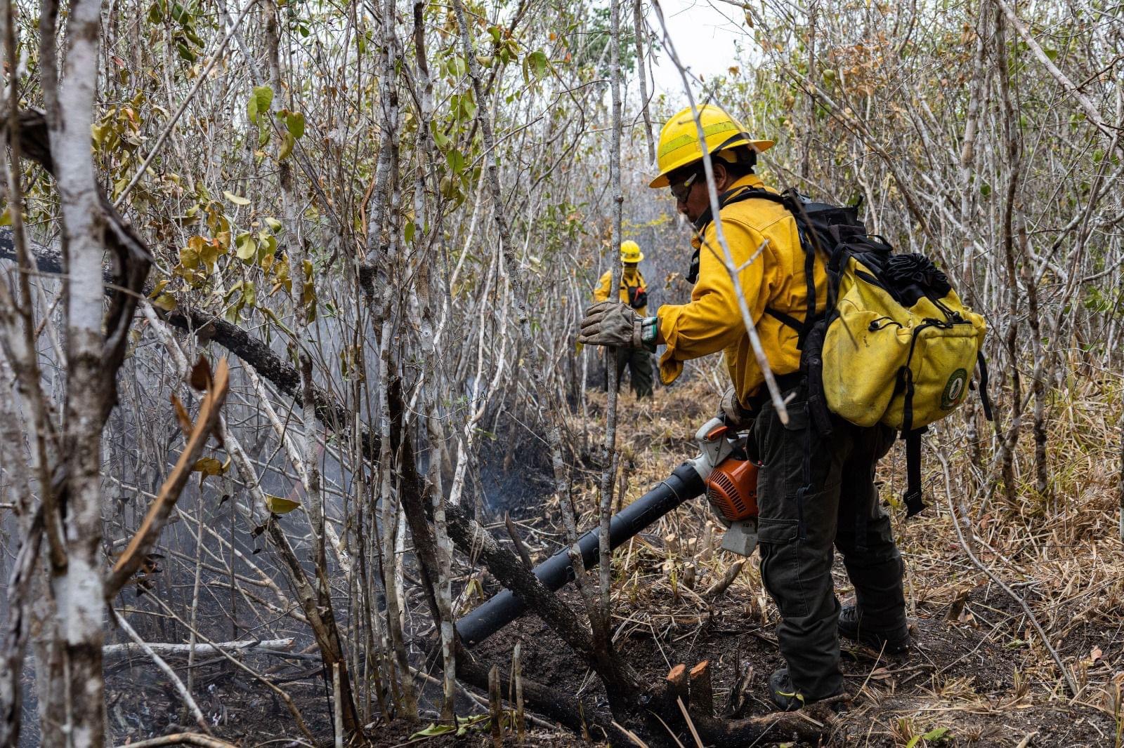 ¡Se extinguió el incendio forestal 5 de Febrero!