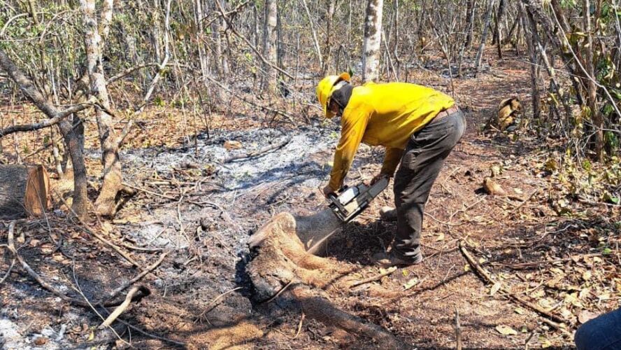 Se extinguieron los incendios forestales en Xbonil Viejo y Kilómetro 100.