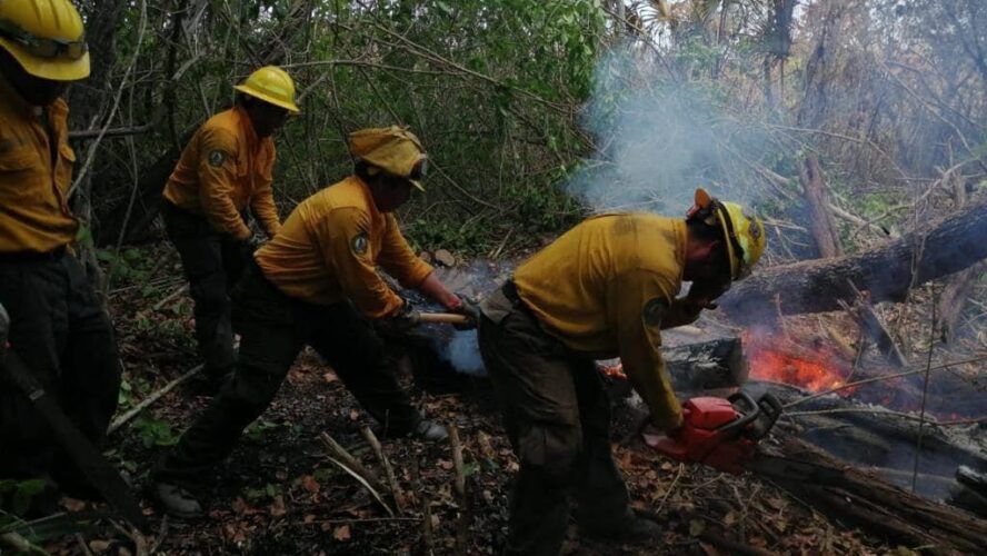 Felicitaciones a los combatientes de incendios forestales en su día