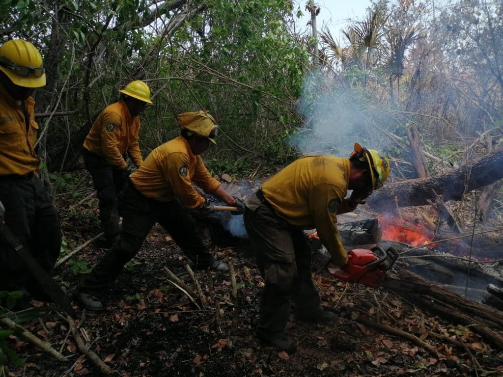 Felicitaciones a los combatientes de incendios forestales en su día