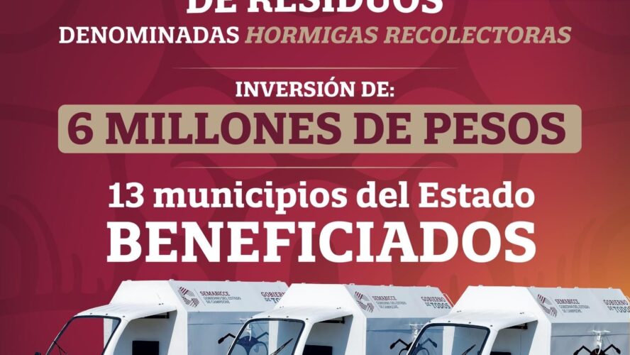 Hormigas Recolectoras para el adecuado manejo de los residuos sólidos urbanos