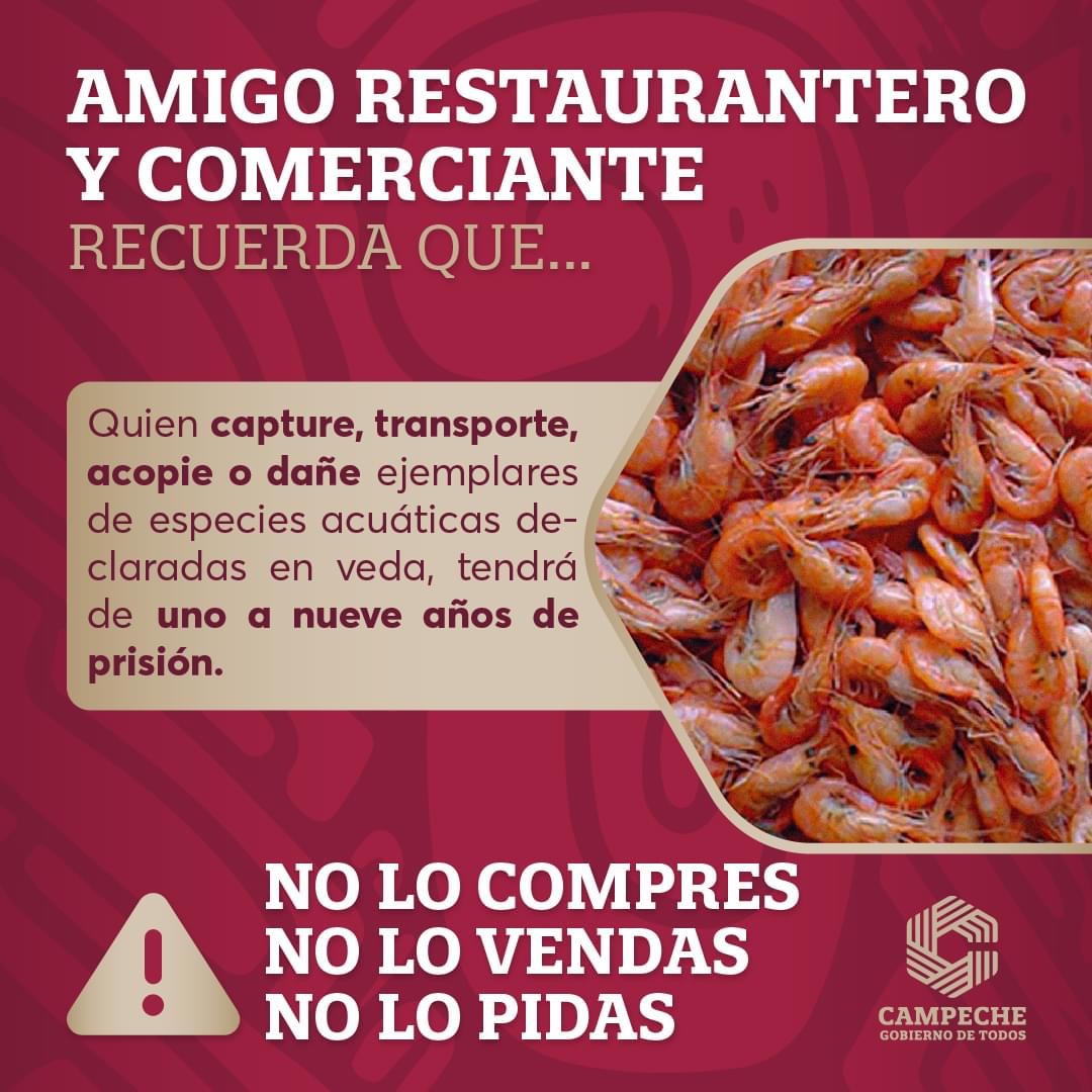 No compres, vendas o pidas especies acuáticas declaradas en veda