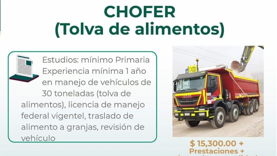 Oferta de empleo