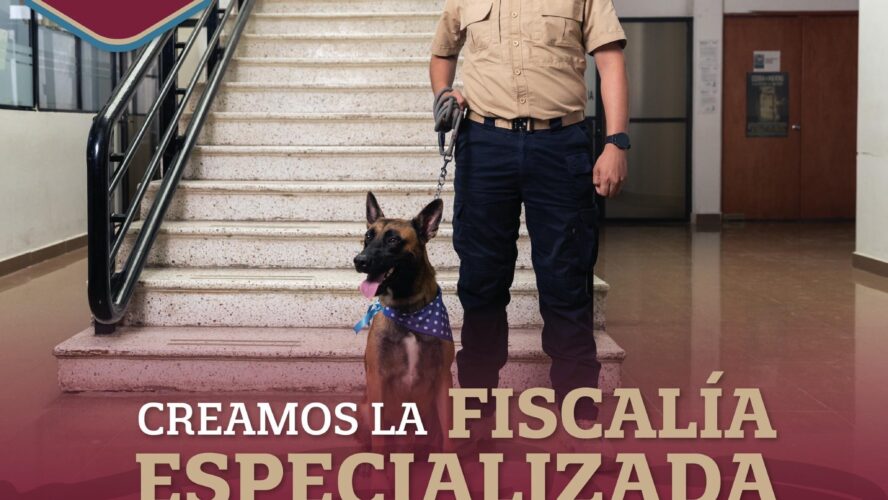 Fiscalía especializada en delitos contra animales, ambientales y ecosistemas