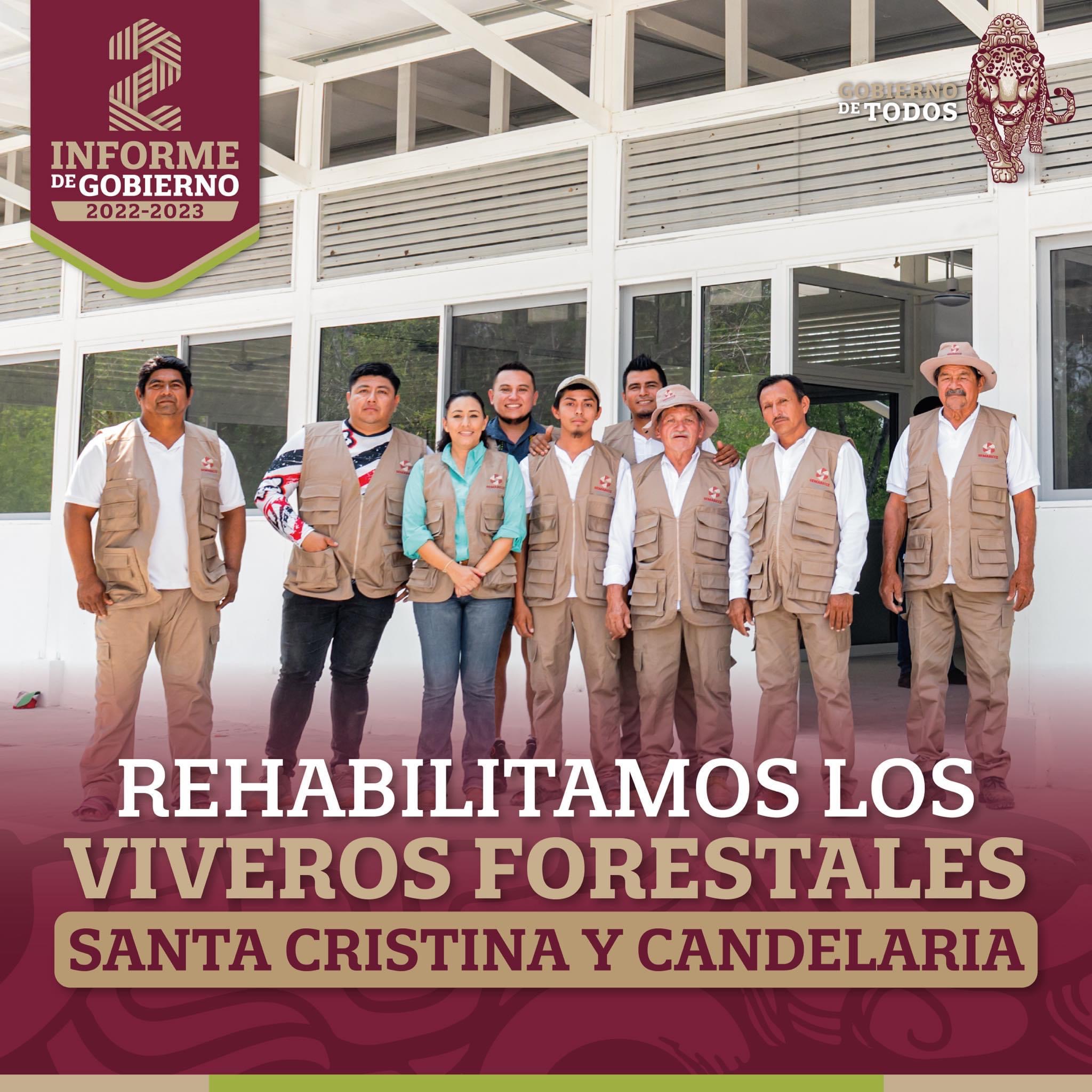 Rehabilitamos los viveros forestales Santa Cristina y Candelaria