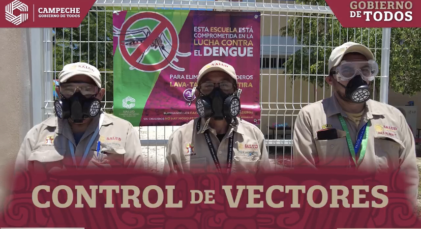 Control de vectores
