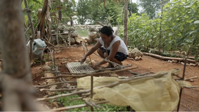 Mujeres productoras reciben capacitaciones