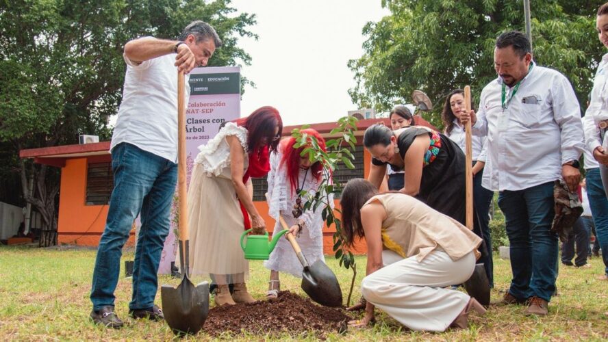 Programa Regresa a Clases con un Árbol