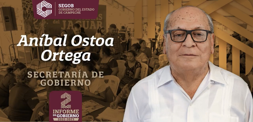 Aníbal Ostoa Ortega: Secretaría de Gobierno