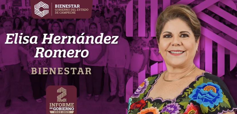 Elisa Hernández Romero: Bienestar