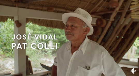 José Vidal Pat Colli