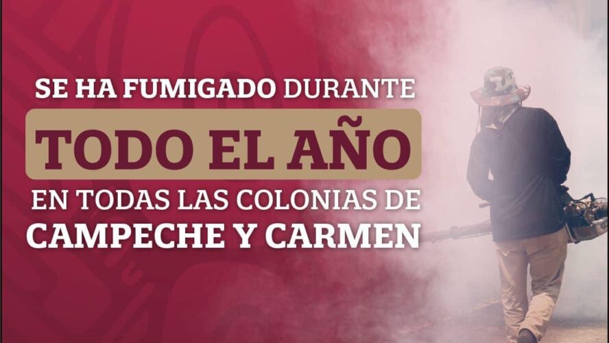 Se ha fumigado durante todo el año en las colonias de Carmen y Campeche