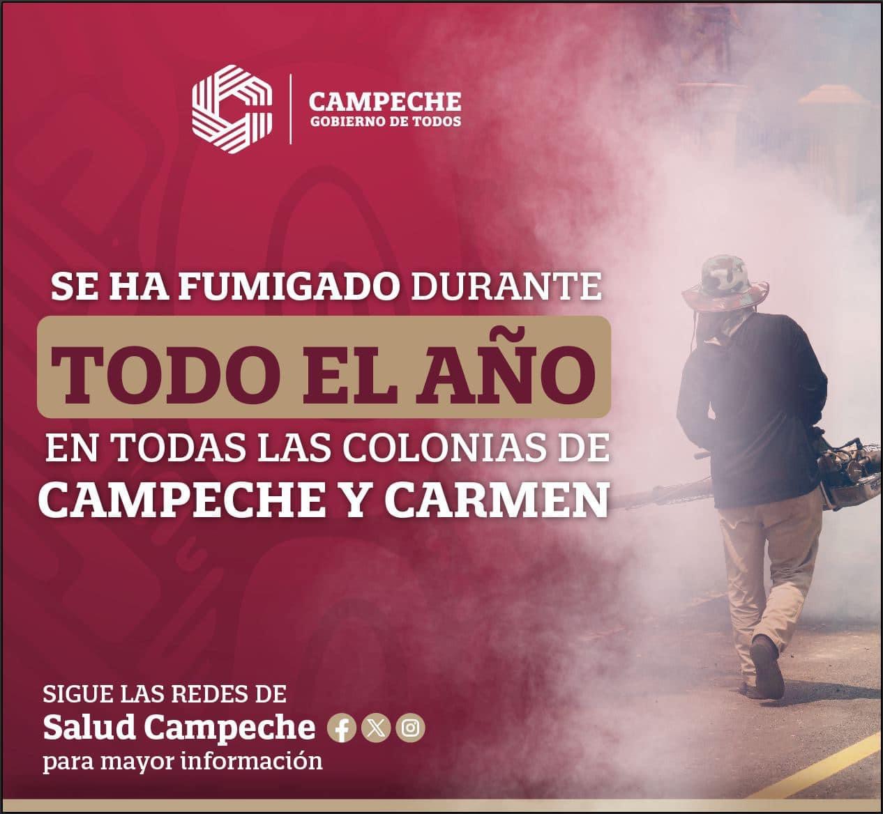 Se ha fumigado durante todo el año en las colonias de Carmen y Campeche