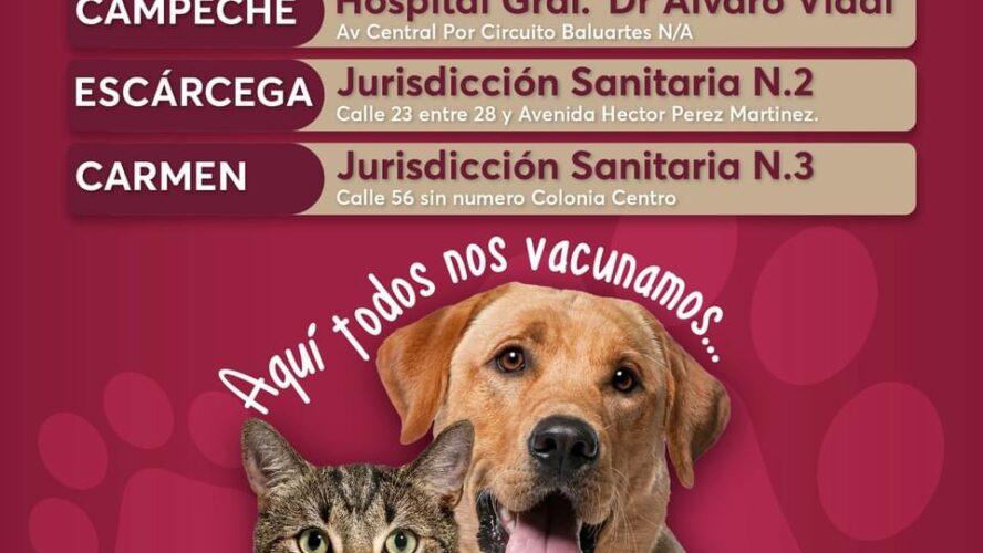 Puntos fijos de vacunación antirrábica canina y felina