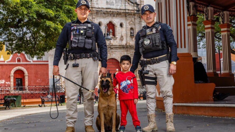 Los perritos que nos cuidan