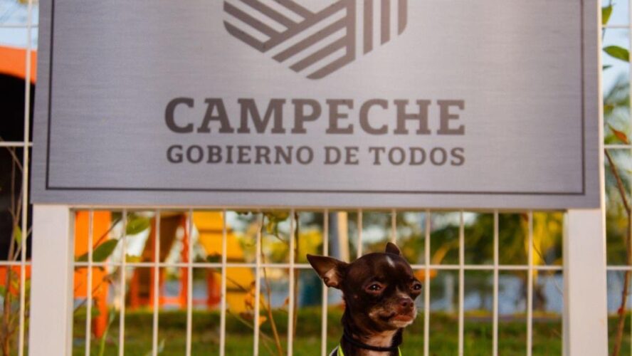Parque para mascotas en Moch Couoh