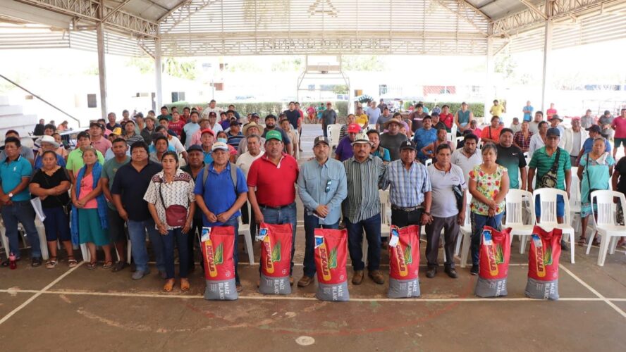 En Tenabo entregamos 585 bultos de semillas de maíz en beneficio de 301 productores