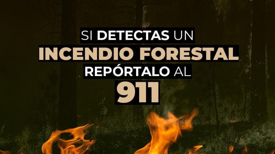 Si detectas un incendio forestal repórtalo al 911