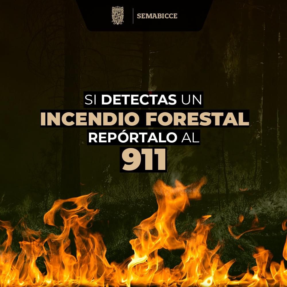 Si detectas un incendio forestal repórtalo al 911