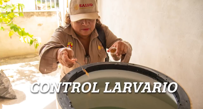Acciones para prevenir el dengue