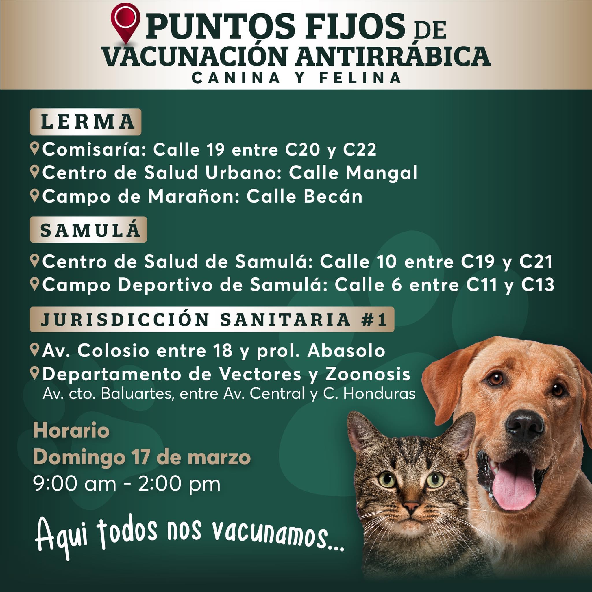 Puntos fijos de vacunación antirrábica canina y felina